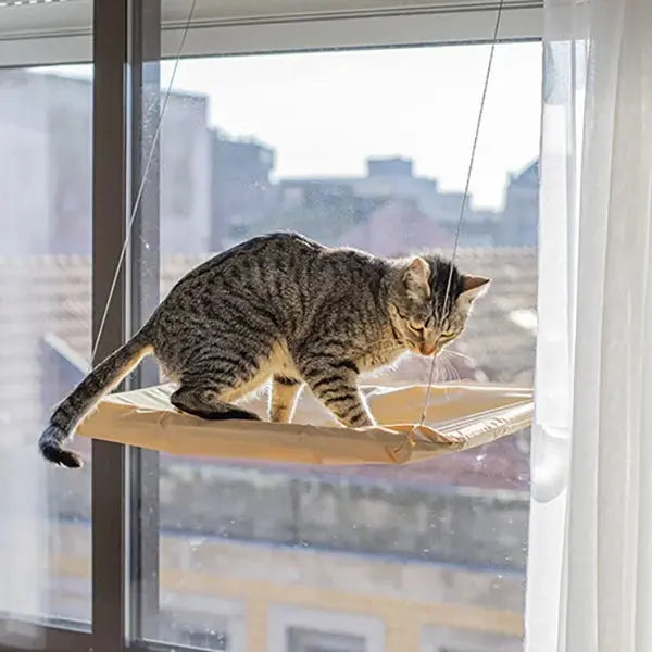 Cama de Janela Suspensa para Gatos Mimers