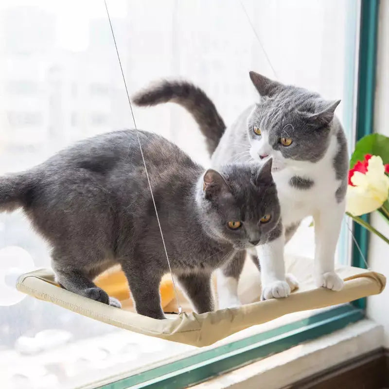 Cama de Janela Suspensa para Gatos Mimers