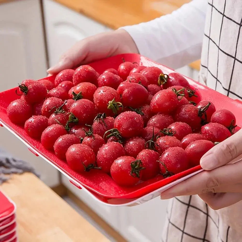 EcoFresh - Bandeja para Conservar Alimentos Reutilizável - Entrega Grátis Tia Malu
