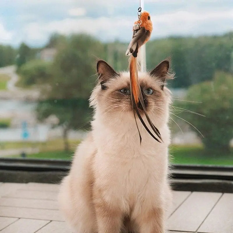 Interactive Bird Simulation Cat Toy Set | Leo's Paw Leos paw