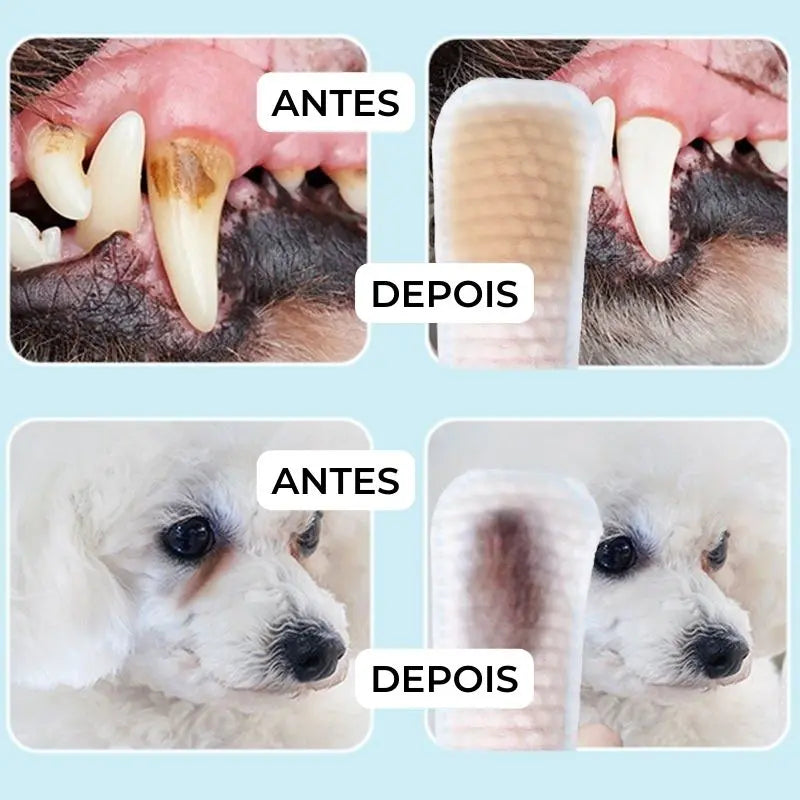 Lenços de Dedo para Limpeza de Dentes de Cães e Gatos - 40un AgoraFacilita