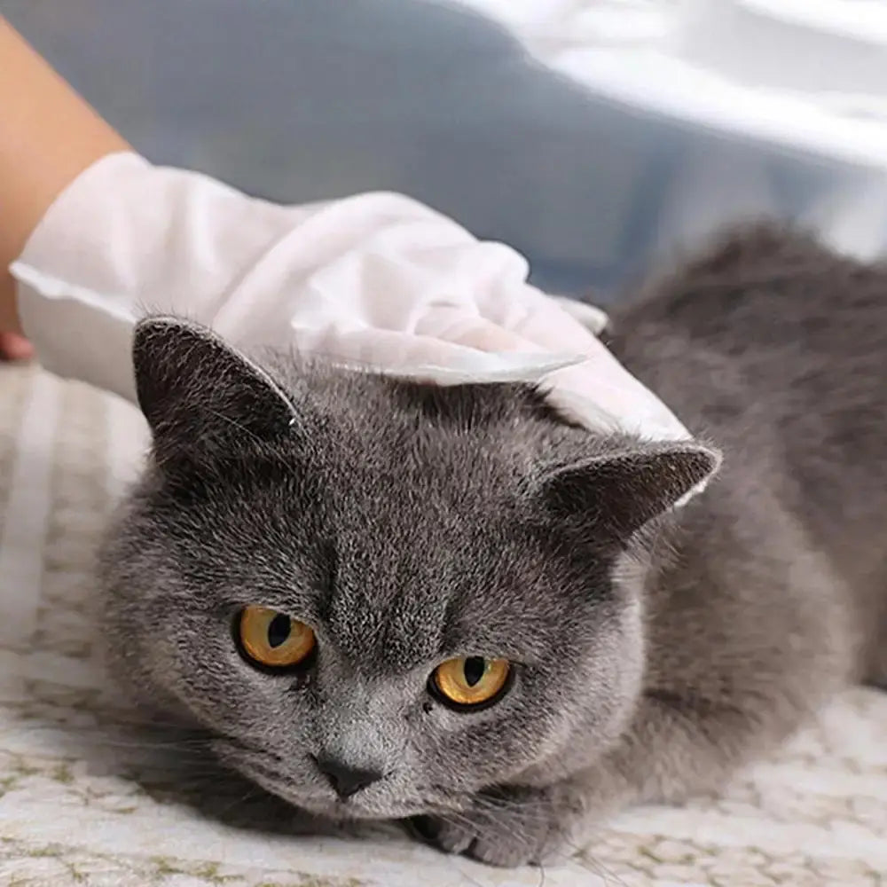 Luva de Limpeza Antibacteriana para Pets Mimers