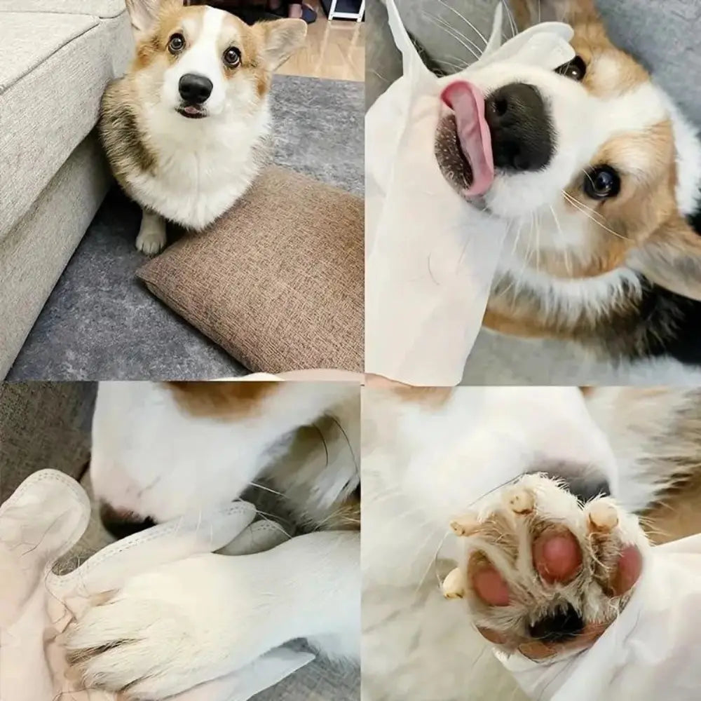 Luva de Limpeza Antibacteriana para Pets Mimers