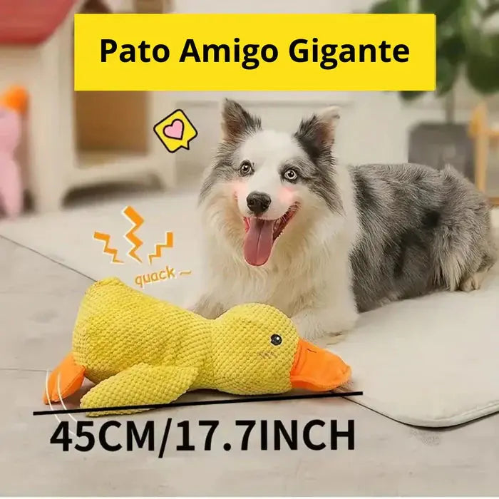 Pato Amigo - MimosCare Mimos Patinhas
