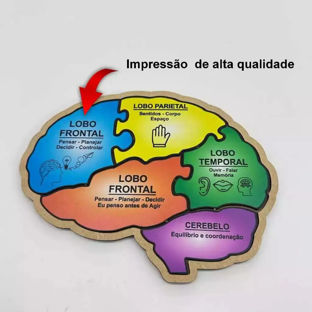 Quebra Cabeça Educativo Formato Cérebro MDF Infantil Pedagógico AgoraFacilita