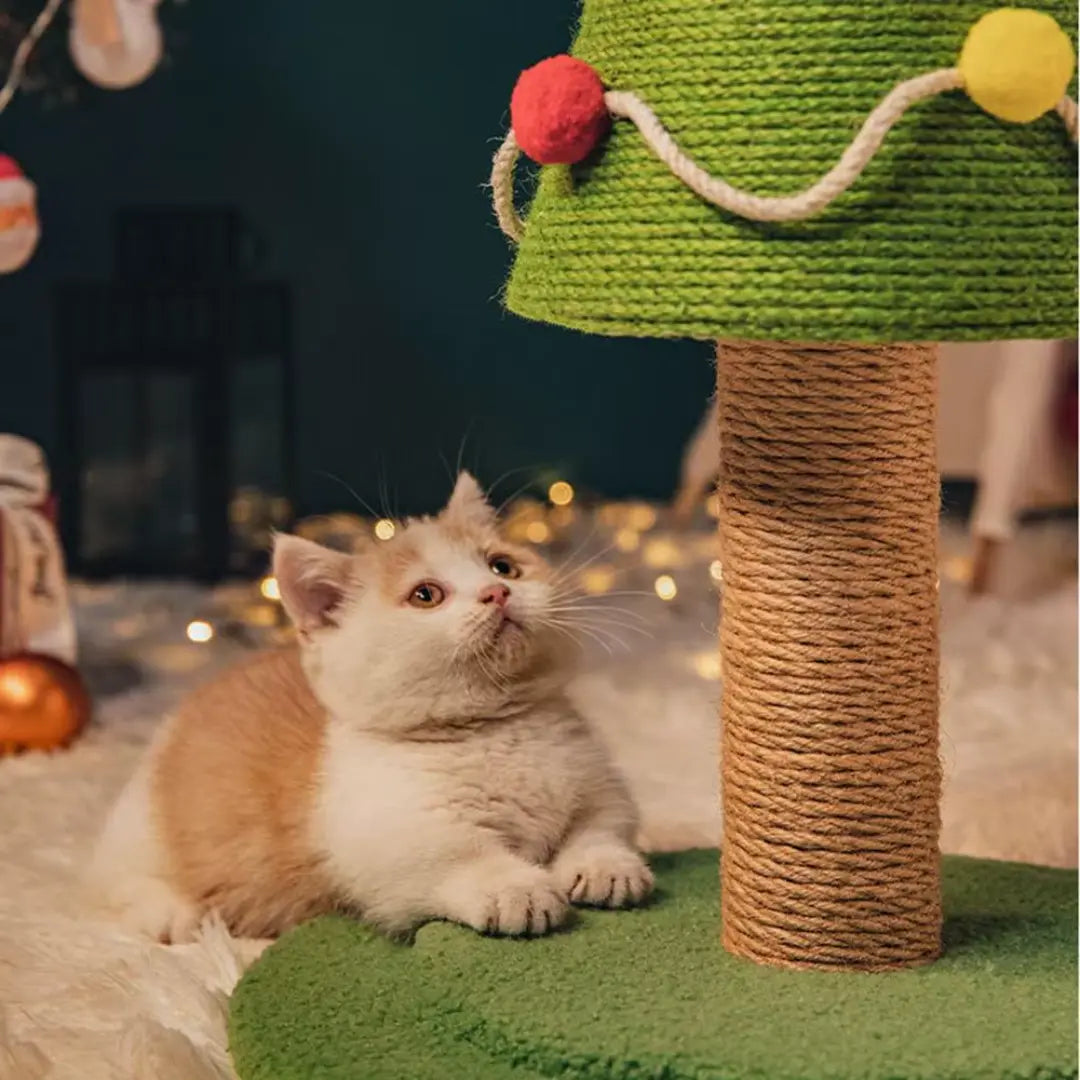 Árvore de Natal Arranhável para Gatos Mimers