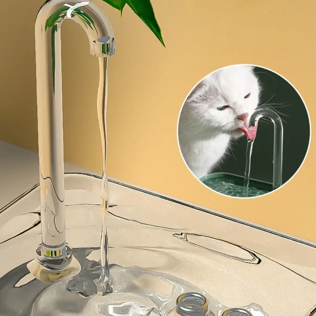 Bebedouro com Fonte Automática para Gatos AgoraFacilita