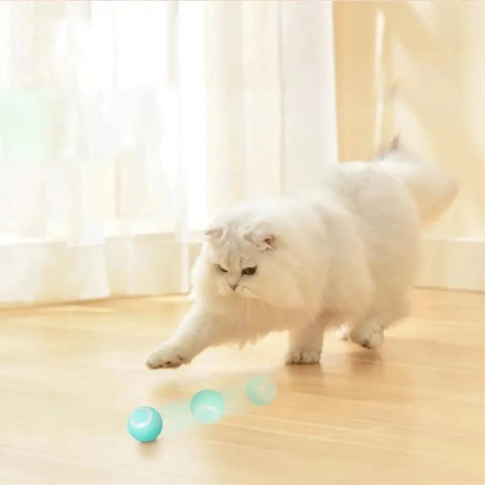 Brinquedo Bola Inteligente Elétrica para Gatos Mimers