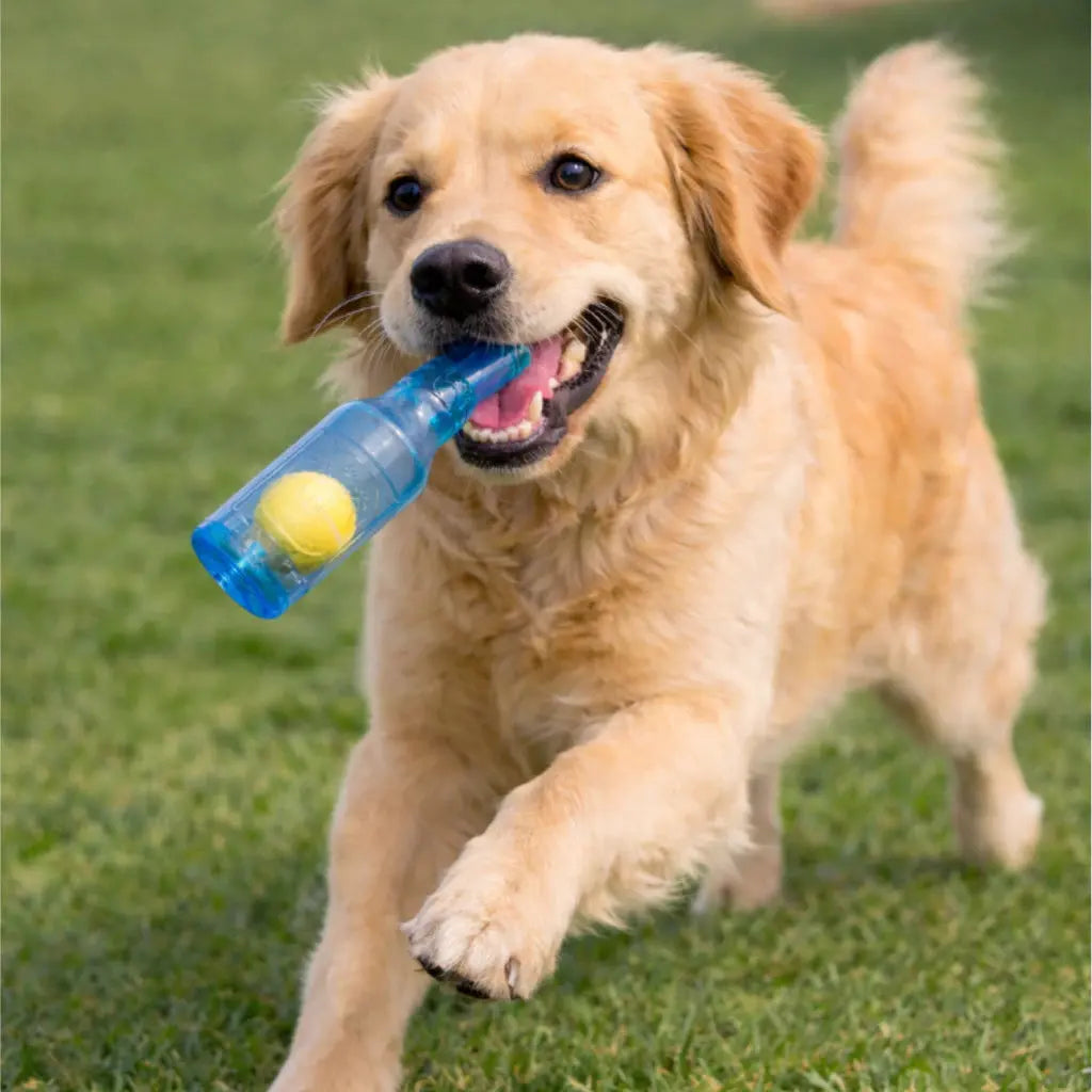 Brinquedo Interativo para Cachorros – Garrafa com Bola Interna AgoraFacilita