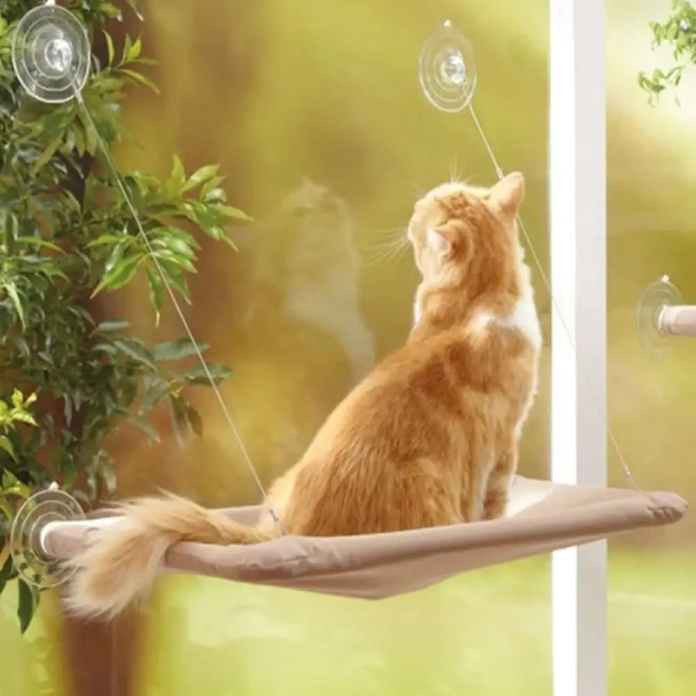 Cama de Janela Suspensa para Gatos Mimers