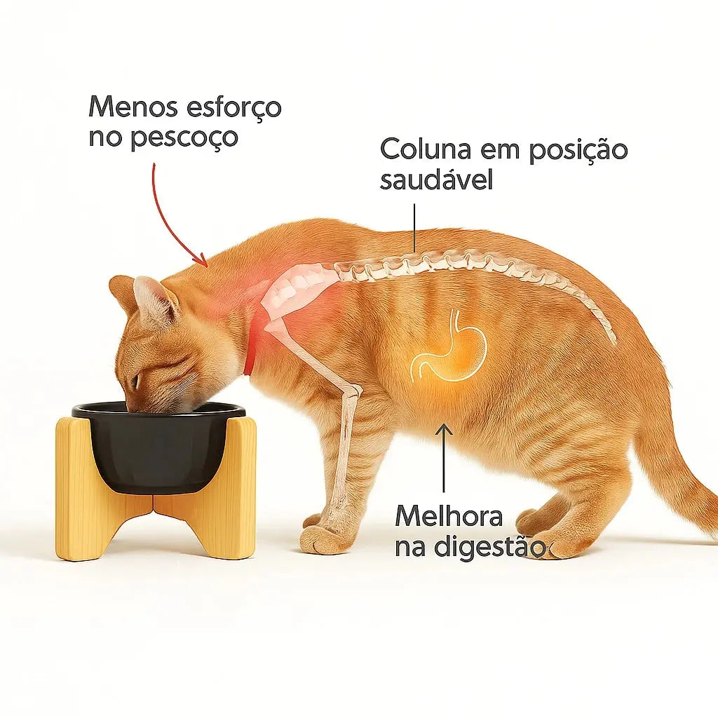 Comedouro Bebedouro Luxo Elevado em PORCELANA 620ml AgoraFacilita