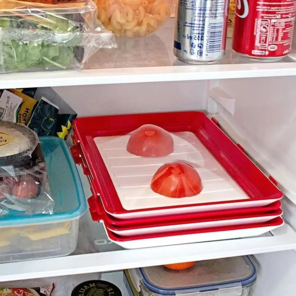 EcoFresh - Bandeja para Conservar Alimentos Reutilizável - Entrega Grátis Tia Malu