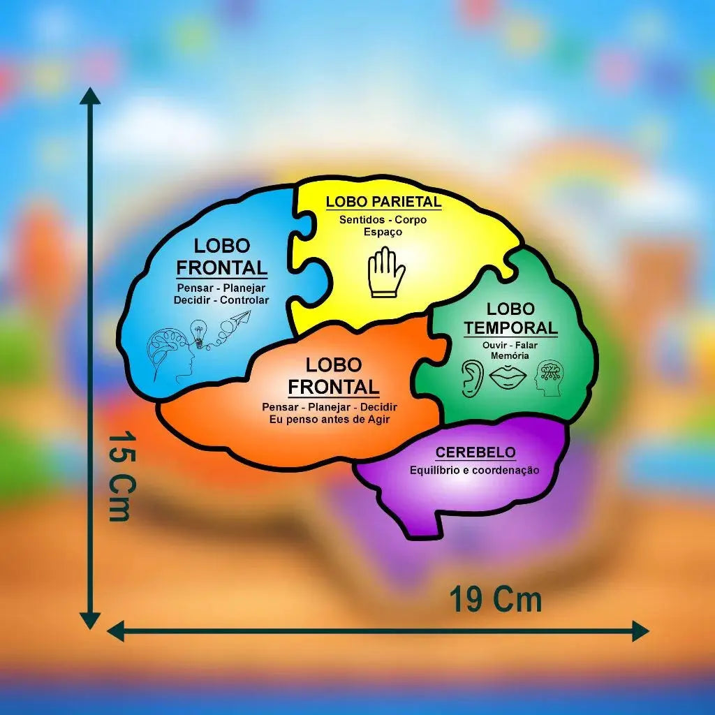 Quebra Cabeça Educativo Formato Cérebro MDF Infantil Pedagógico AgoraFacilita